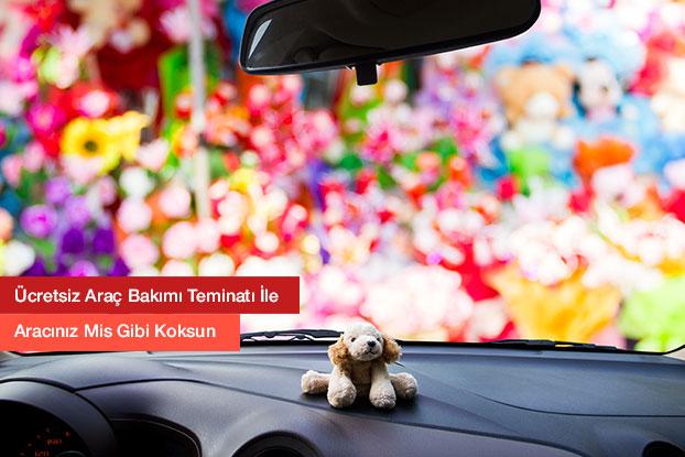 Arabanızı Temizlemenin 9 Şaşırtıcı Yolu